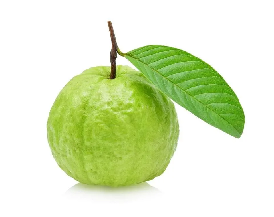 Ripe Guava, 1 pcs