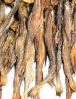 Dried Loitta Fish