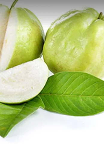 Fresh Ripe Guava, 1 kg