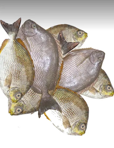 Desi Boro Chanda Mach, 1 kg