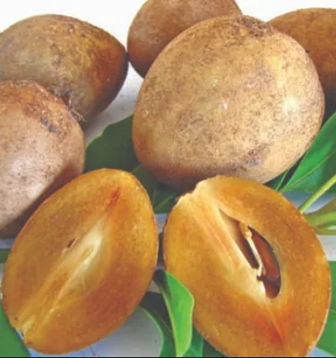 Sofeda, 1 kg