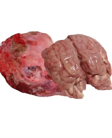 Lamm-Goat Head & Brain, 1 pcs