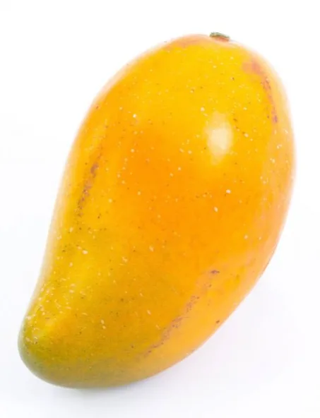 Desi ripen Sweet Tasty Honey Mango, 1 Stk.