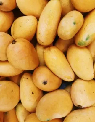 Honey Mango