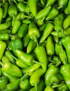 Bullet Green Chilli, 1000 g