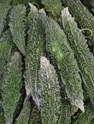Bittergurke, 300 g