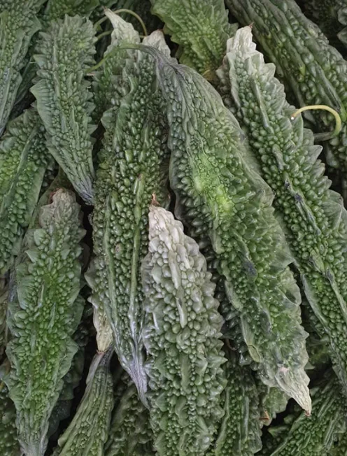 Bittergurke, 300 g