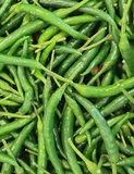 Green Chilli-Fresh