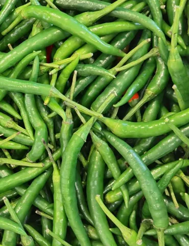 Green Chilli-Fresh, 1 pkt