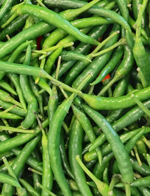 Green Chilli-Fresh, 1 pkt