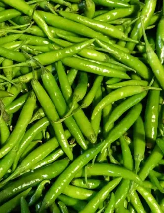 Fresh Green Chilli, 1 kg