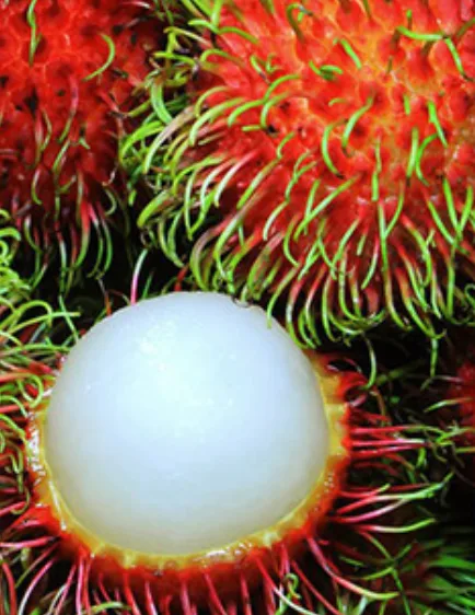 Rambutan, 0.5 kg