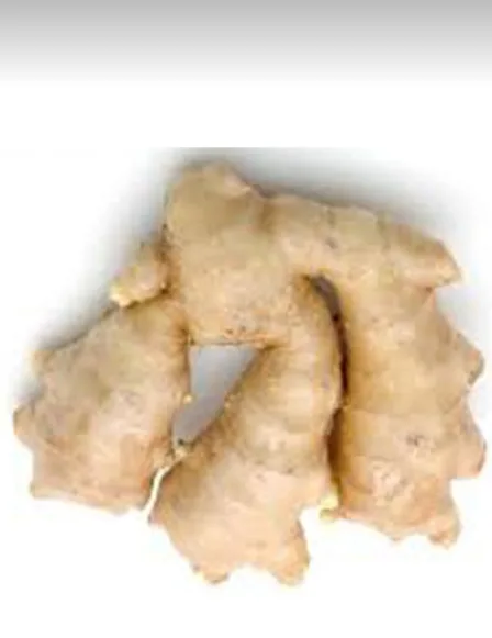 Fresh Ginger