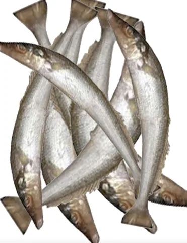 Lady fish, 1 kg