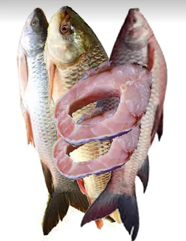 Ruhu Fish, 3 kg
