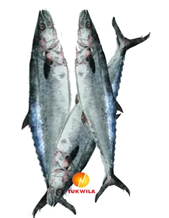 Horse Mackerel fish, 1 kg