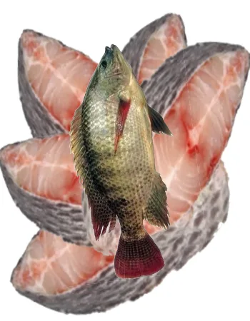 Desi Tilapia Fish-black Steaks(4-6pcs), 1000 g