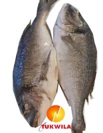 Dorado fish (cleaned), 1200 g