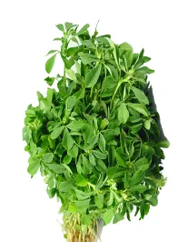 Fresh Desi Methi Saag, 500 g