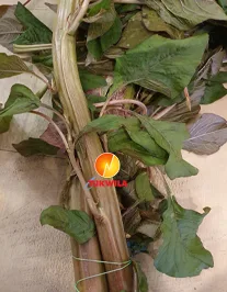 Fresh Desi DATA Saag-long, 500 g