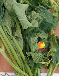 Fresh Desi Lau-saag, 500 g