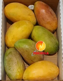 Desi Sweet Mango