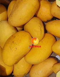 Desi Chaunsa/Sindhri Honey Tasty Mango, 4 kg