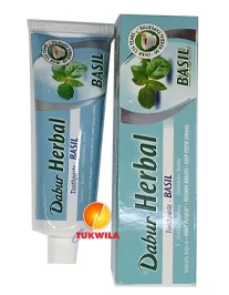 Dabur Herbal Basil Toothpaste, 1 Stk.