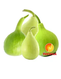 Fresh Kaddu, 1 pcs