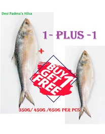 Hilsa Fish, 4 pcs