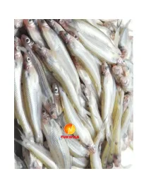 Bashpata mach fish (dressed - cleaned, block), 1 pkt