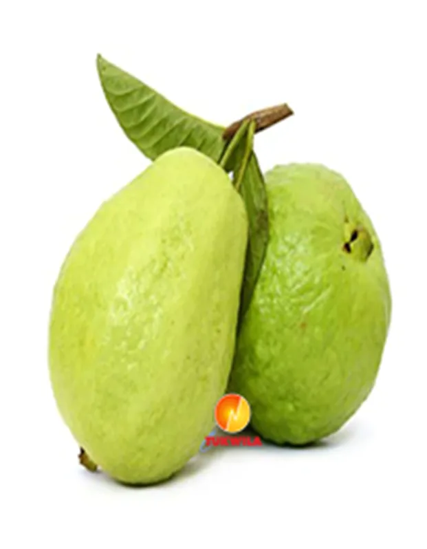 Ripe small Fresh Guava, 2 Stk.