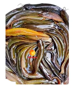 Desi Shing Maach fish, 1000 g