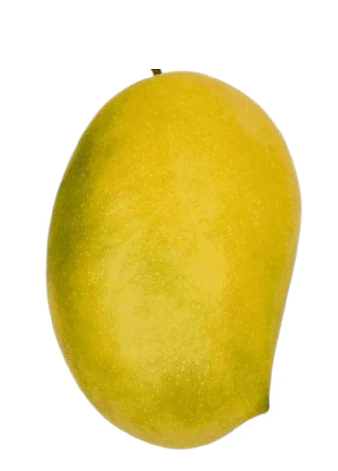 Khushi Keshar Desi Sweet Tasty Mango, 4 pcs