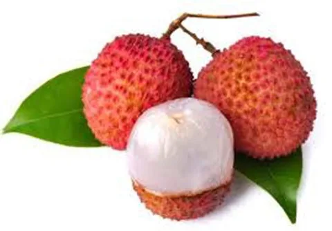 Tasty Lychee