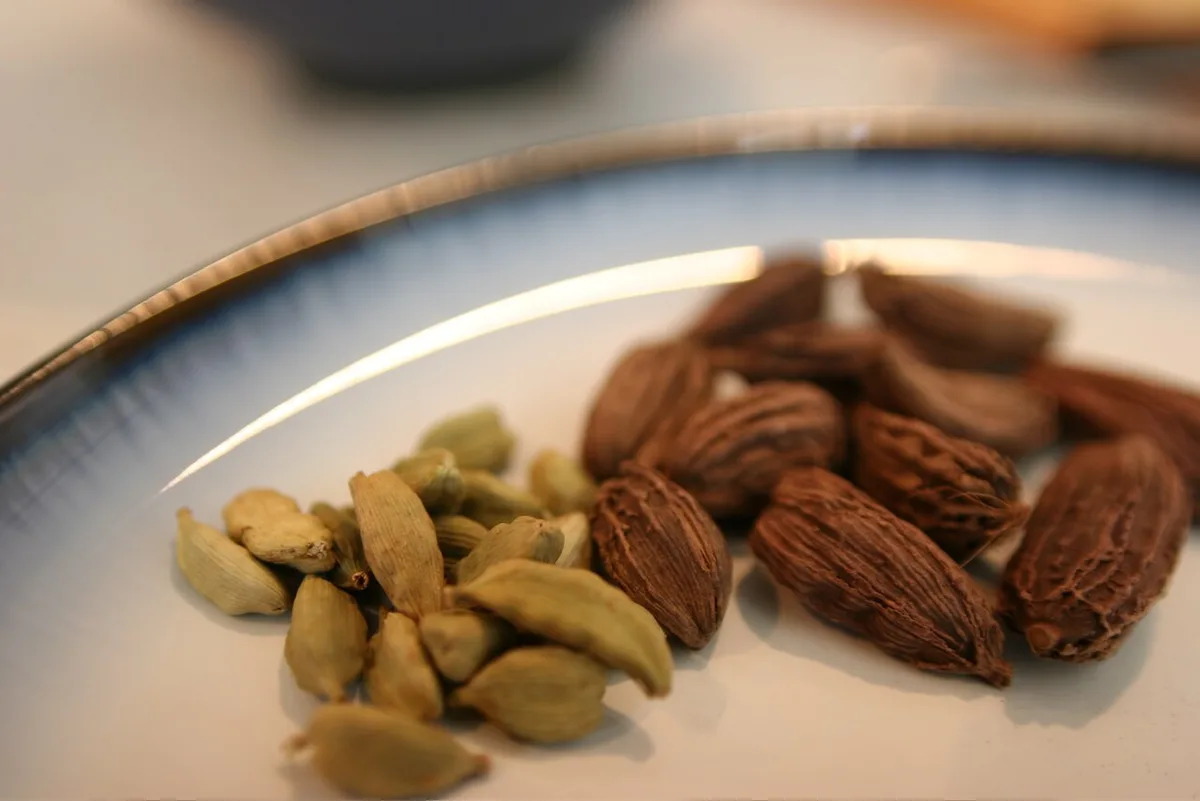 Green and black cardamom pods