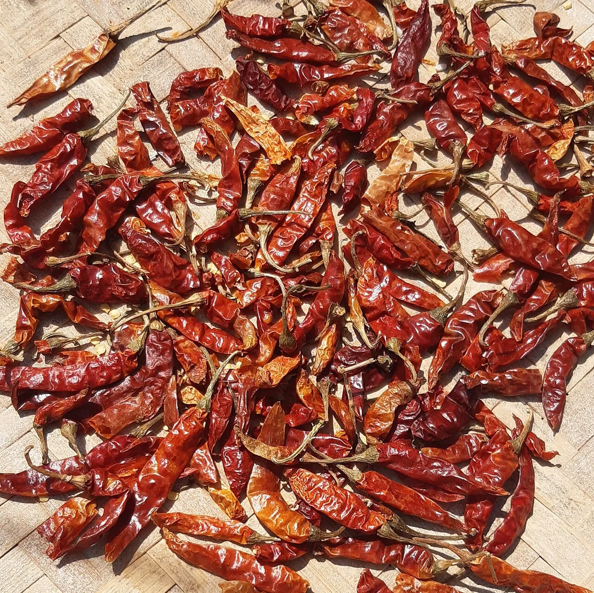 Getrocknete rote Chilischoten