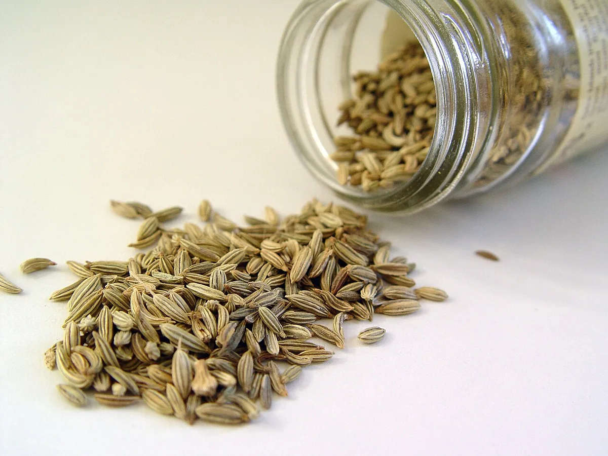 Fennel seeds beside a jar