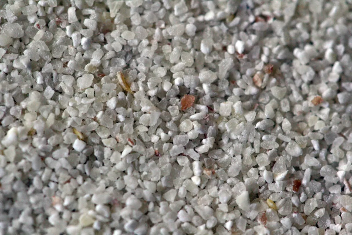 Close-up of semolina grains