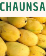 Chaunsa mango-1d- Mango-Tukwila online market Germany