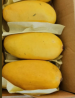 Chaunsa mango-a- Mango-Tukwila online market Germany