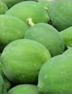 green Papaya Pepe Papita_1 Tukwila Online Market in Germany