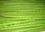 copy of Vatika Olive Hair Oil