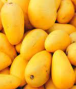 Sindhri-mango-b- Mango-Tukwila online market Germany