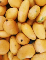 Sindhri-mango-b- Mango-Tukwila online market Germany