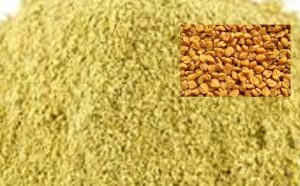 methi-seeds-2 Fenugreek oil_öl_Tukwila online store in germany