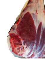Lamm fleisch-Mutton-Keule-2-Tukwila online Market in Germany