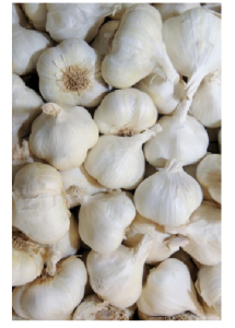 Knoblauch-Garlic_paste_Tukwila online Market