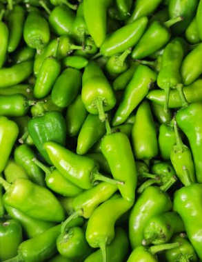 Bullet Green Chilli, Grünes Chilli, bombay Morich, 250g - Tukwila ...