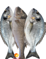 Dorado Fish Fisch Mahi fish Searbream wes_b_Tukwila online market in Germany